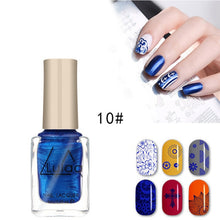 Load image into Gallery viewer, LULAA 12 Colors Nail Stamping Polish Avocado Nail Polish Nail Art Plate Stamp Oil Print Series Nail Brushes Nail Lacquer TSLM1