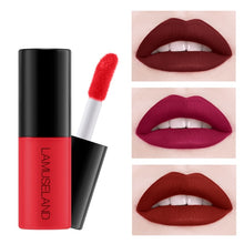 Load image into Gallery viewer, 12 Colors Nude Lip Gloss Waterproof Velvet Red Lips Tint Long-Lasting Matte Liquid Lipgloss Blusher Moisturizing Makeup TSLM1