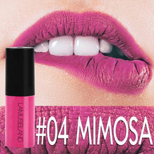 Load image into Gallery viewer, 12 Colors Nude Lip Gloss Waterproof Velvet Red Lips Tint Long-Lasting Matte Liquid Lipgloss Blusher Moisturizing Makeup TSLM1