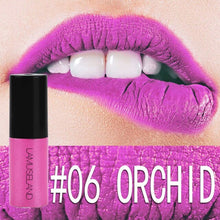 Load image into Gallery viewer, 12 Colors Nude Lip Gloss Waterproof Velvet Red Lips Tint Long-Lasting Matte Liquid Lipgloss Blusher Moisturizing Makeup TSLM1