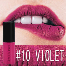 Load image into Gallery viewer, 12 Colors Nude Lip Gloss Waterproof Velvet Red Lips Tint Long-Lasting Matte Liquid Lipgloss Blusher Moisturizing Makeup TSLM1
